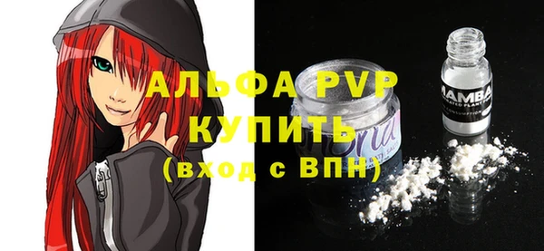 сатива Куйбышев