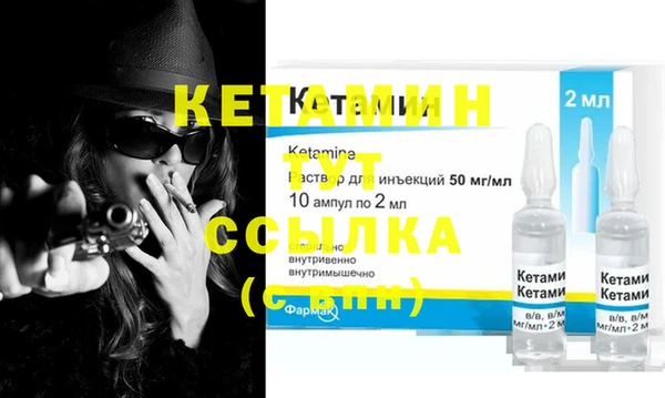 сатива Куйбышев
