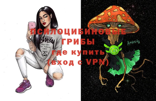 сатива Куйбышев
