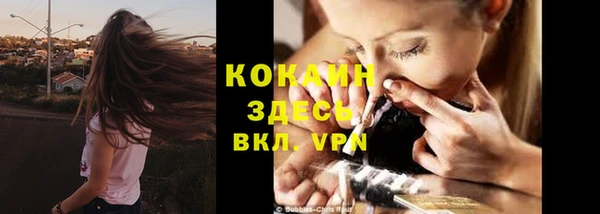 мяу мяу мука Куйбышев