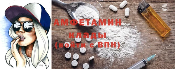 индика Лабытнанги