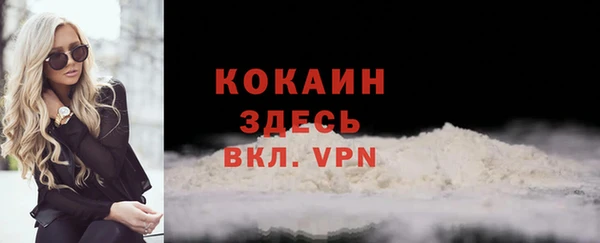 сатива Куйбышев