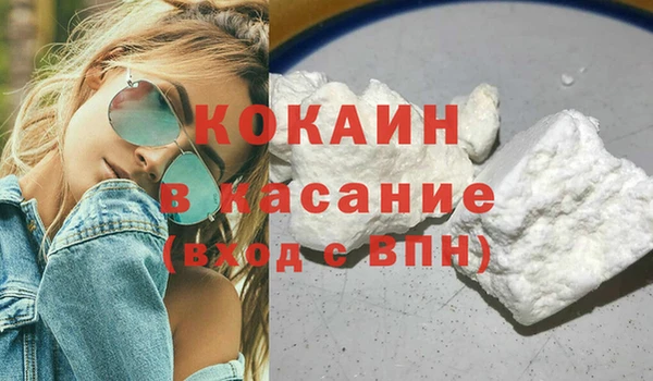 индика Лабытнанги
