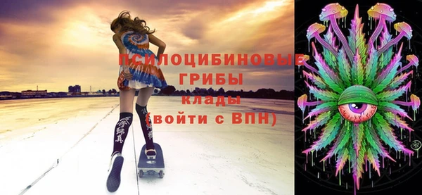 прущие крисы Орск