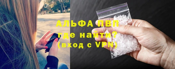 сатива Куйбышев