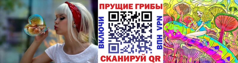 Псилоцибиновые грибы ЛСД  Керчь 