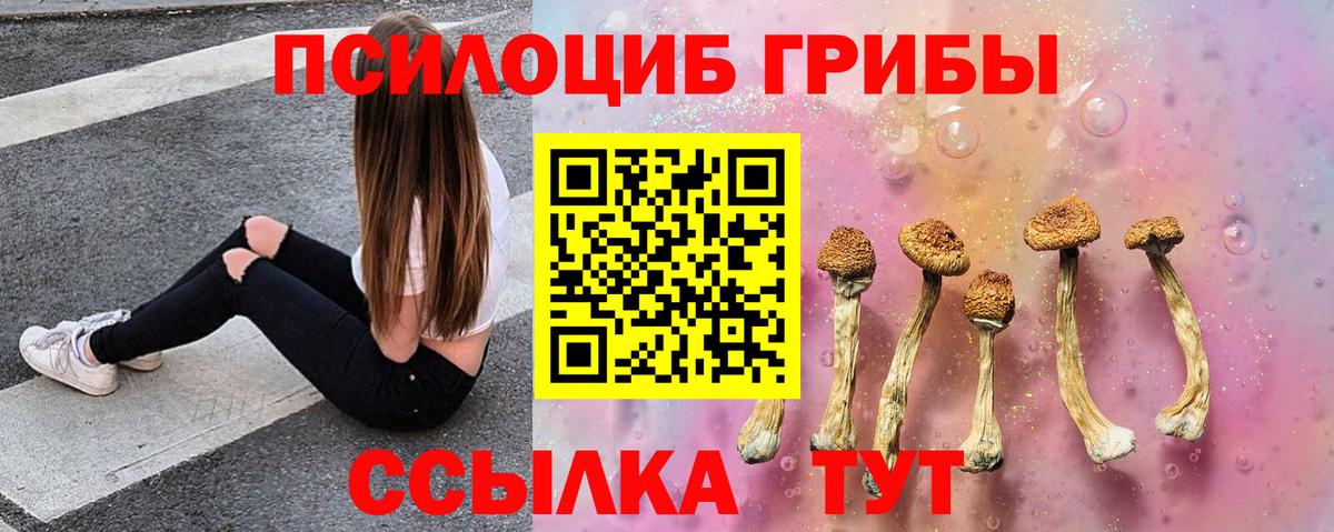 Галлюциногенные грибы мицелий Керчь